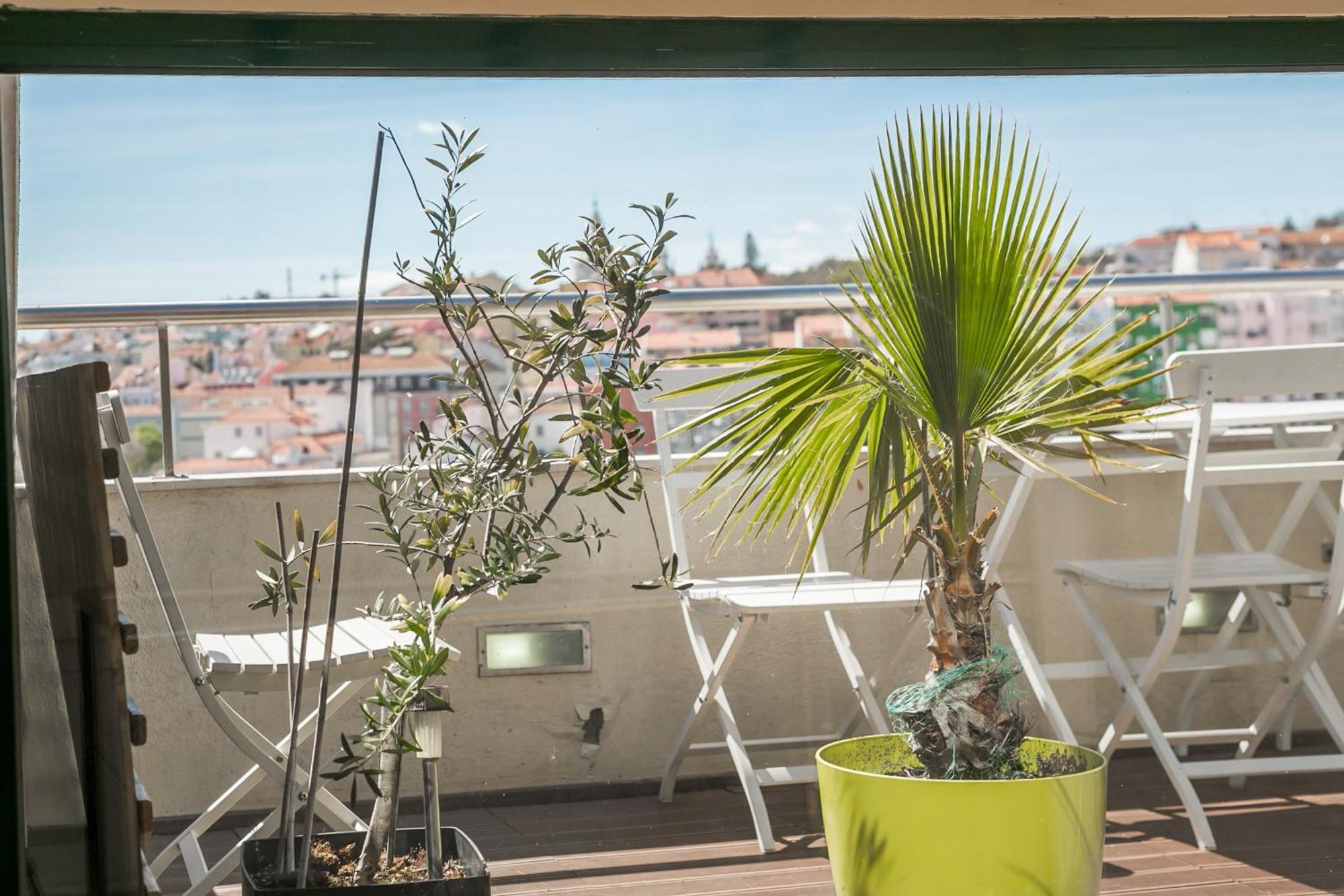 Appartement Lv Premier P.real- Pi